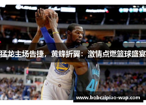 猛龙主场告捷，黄蜂折翼：激情点燃篮球盛宴