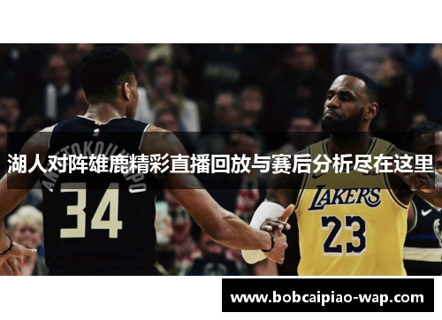 湖人对阵雄鹿精彩直播回放与赛后分析尽在这里