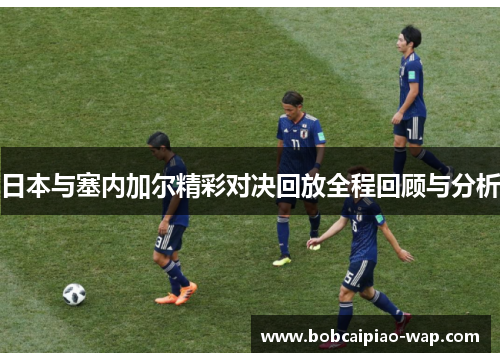 日本与塞内加尔精彩对决回放全程回顾与分析